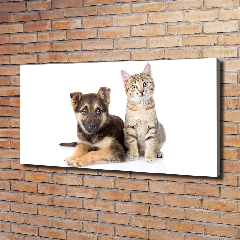 Dog and Cat 1 Piece Wrapped Canvas Wall Art