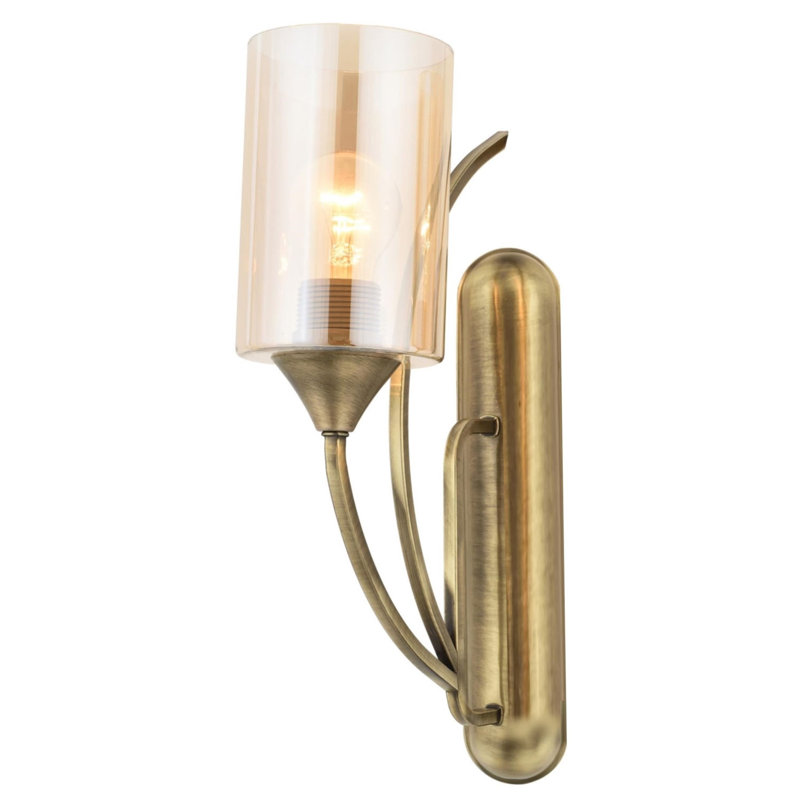 Iron Armed Sconce