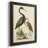 Water Birds III " Water Birds III "-427246372