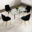 Chaise de salle à manger 4 pièces en velours noir-1074419301