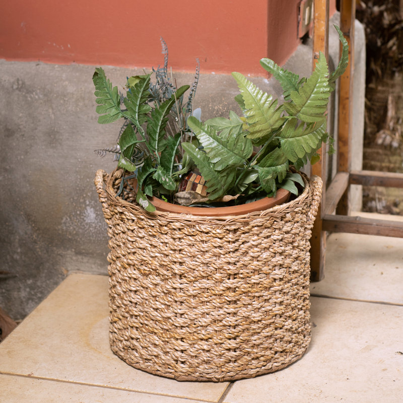 Highland Dunes Wicker Decorative Basket, 8" H x 10" W x 10" D