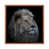 Toile avec cadre en bois brun n'est pas disponible