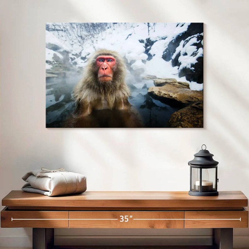 Brampt Serious Japanese Snow Monkey
