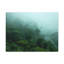 No Frame Print on Canvas-979470723