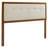 Draper Tufted Fabric and Wood Headboard-918148073-918148075
