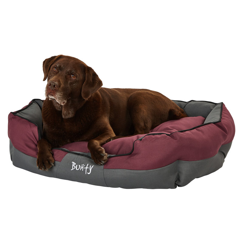Levesque Polyester Pet Bed, Red, 25cm H x 90cm W x 70cm D