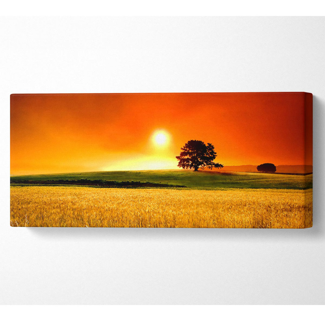 Sommer-Sonnenuntergang - Panorama-Kunstdrucke auf Leinwand