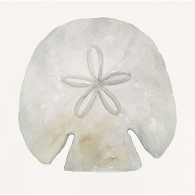 «Sea Shell 1» par Rita Taverni - photographie sur toile tendue