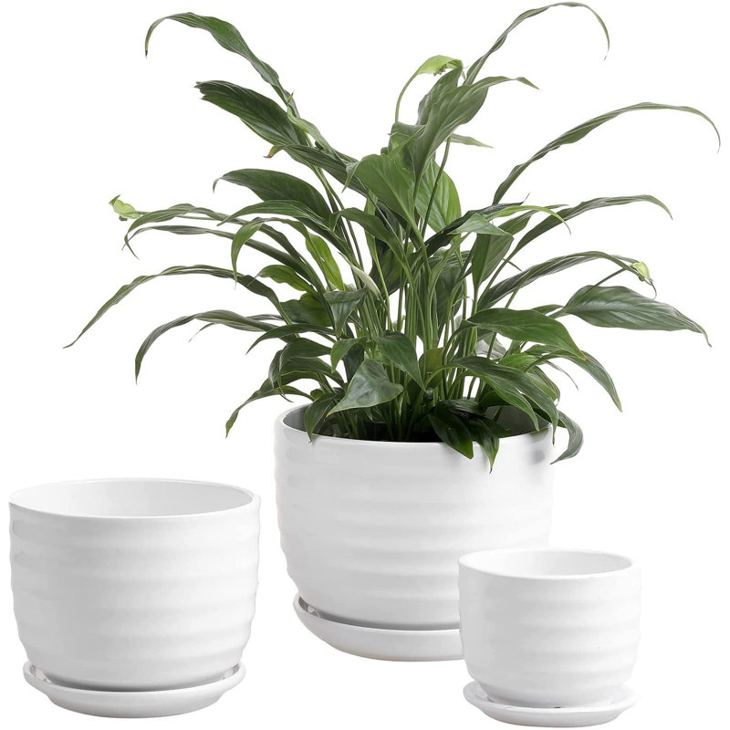 Aniece Ceramic Pot Planter