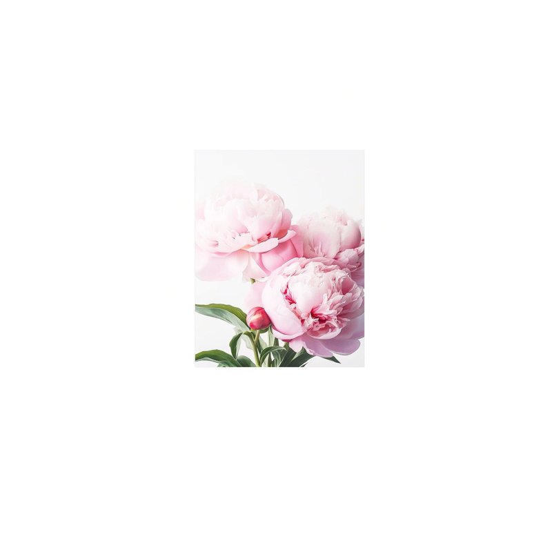 Art mural en toile rose sans cadre 24 po x 36 po