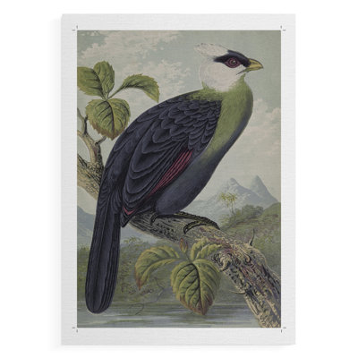 Vintage Animal Print XXXV - reproduction de toile seulement - non encadrée