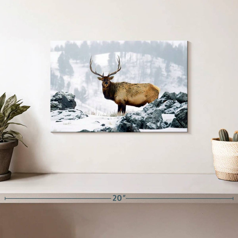 Wyoming Wapiti