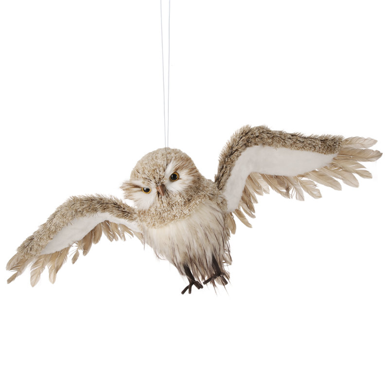 Hibou 28 po
