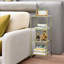 Annerike Gold Glass 4 Tier Side Table
