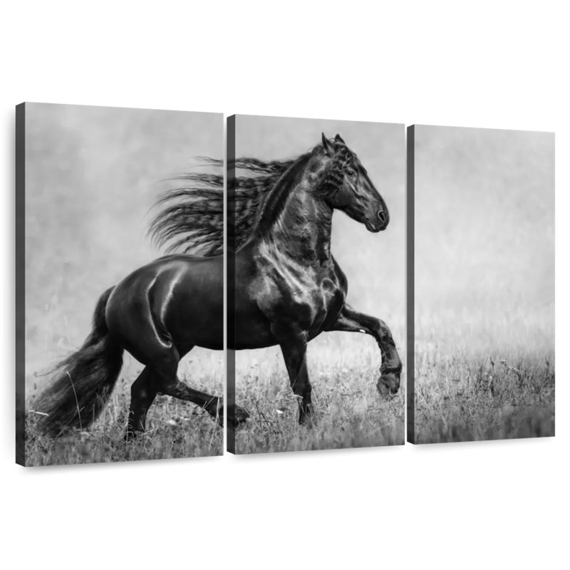 Brampt Black Friesian, 48" H x 74" W