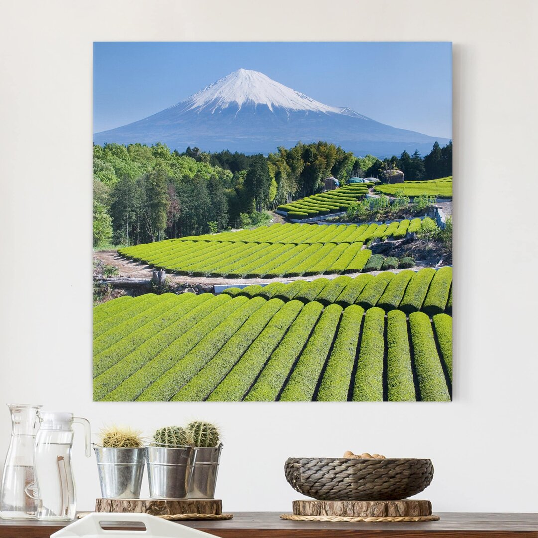 Leinwandbild Teefelder vor dem Berg Fuji