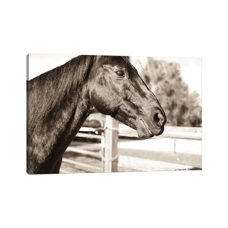 Hello There 1 Piece Wrapped Canvas Wall Art, 20.32 cm H x 30.48 cm W
