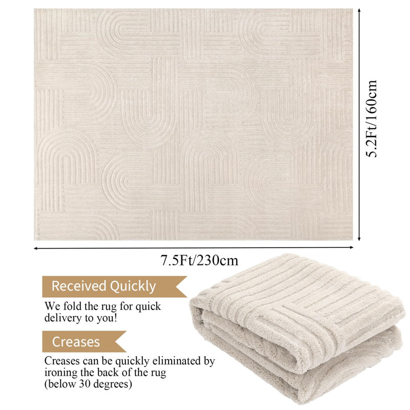 160cm X 230cm Area Rug