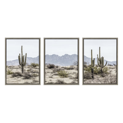 Tall Saguaro Cacti Desert Mountain Left, Middle and Right by The Creative Bunch Studio Framed Canvas Wall Art Set
