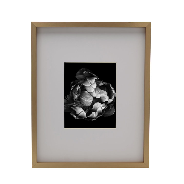 Mikasa Gold Gallery Frame-16 X 20 Matted To 8 X 10