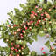 Couronne de baies en eucalyptus fabriquée à la main 24 po pour porte d'entrée-1297859569