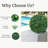 20 Inch 2 Balls Artificial Boxwood Balls