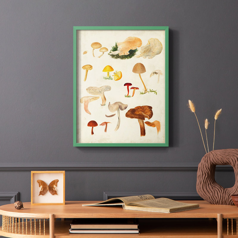 Reproduction encadrée de champignon Mushroom Species, Vert, H 10 po x l 8 po