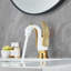 Single-handle Bathroom Faucet-108691484