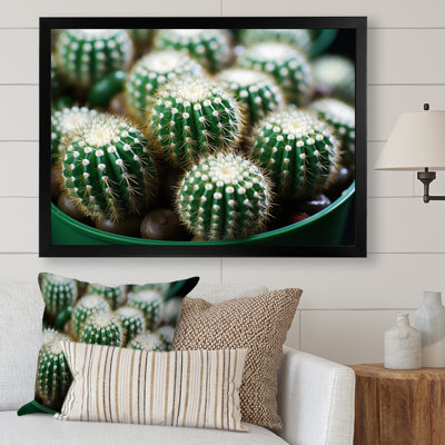 «Green Beige Cactus Desert Jewels Mammillaria I», reproduction sur toile