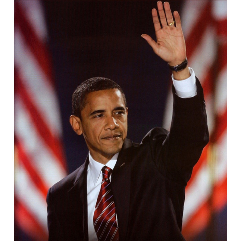 Barack Obama: Destiny, 17" H x 15" W