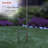Gertrude Weather Resistant Abstract Garden Stake