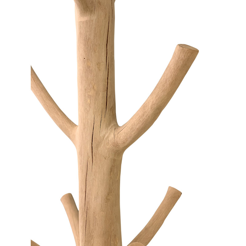 Lily's Living Mangosteen Tree Floor Coat Rack W/Iron Stand, 80 Inch Tall, Natural Wood And Black