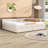 Upholstered Daybed with Built-in USB Ports and 2 Storage Drawers-106490990