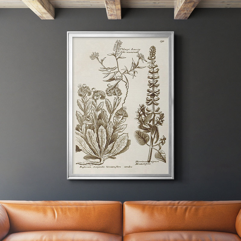 «Sepia Botanical Journal IV», reproduction encadrée de qualité supérieure - prête à être accrochée, Argent