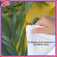 Édredon Green Palm Leaves-125028126