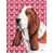 Basset hound (brun et blanc)