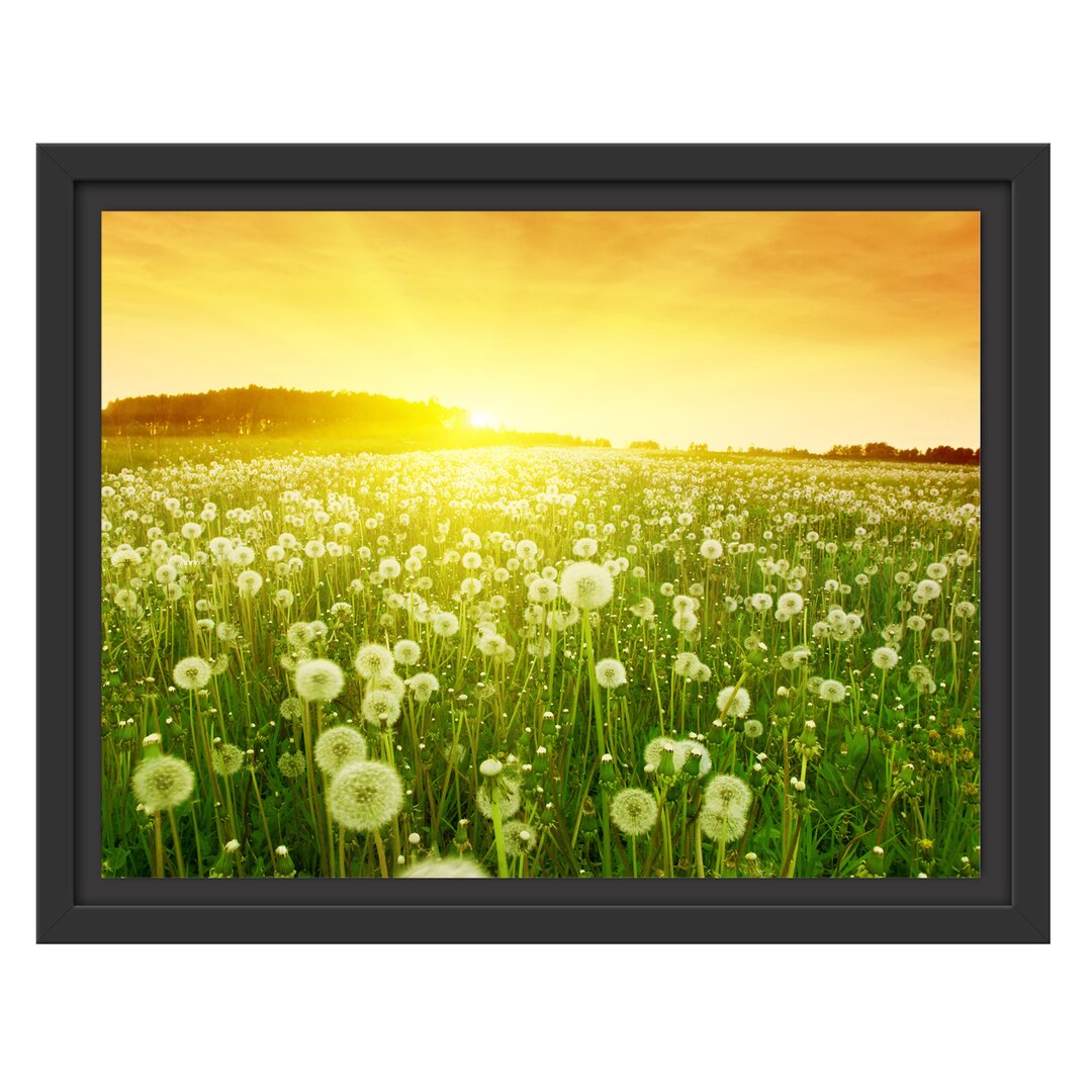 Gerahmtes Wandbild Pusteblumen Sonnenuntergang