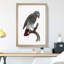 Grey Parrot Perched by F. Levaillant - Picture Frame Painting Print-55609138-55609140