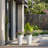 Aftina Pot Planter-251255585-222556238