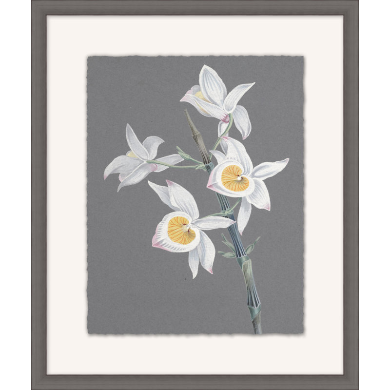 Orchid Study 16 Painting