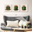 Iconographie descriptive des cactus-132989663