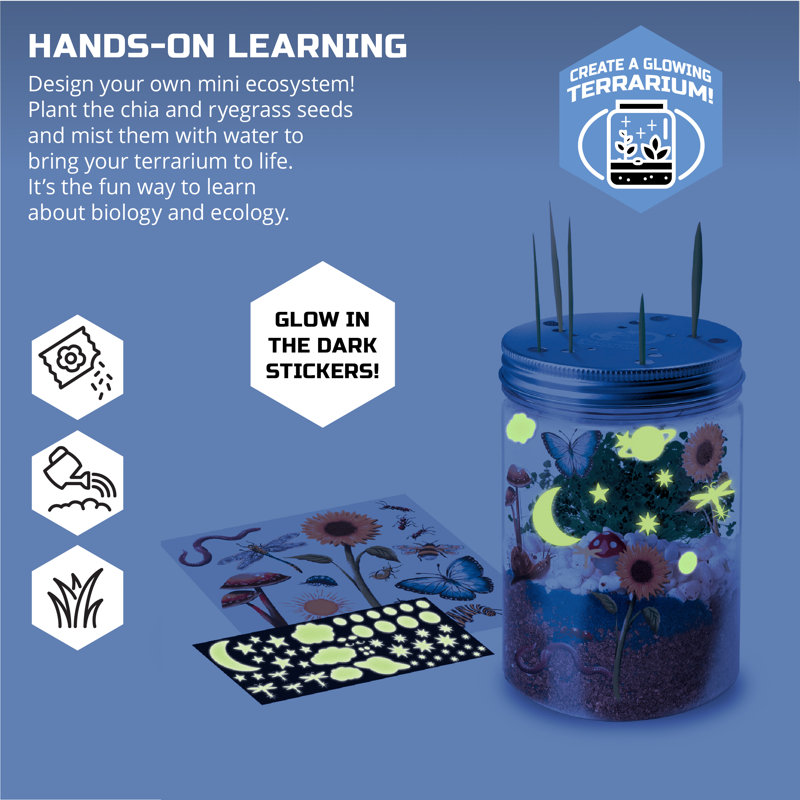 Ensemble de culture de terrarium bricolage