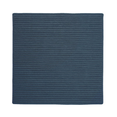 Indoor / Outdoor Rug