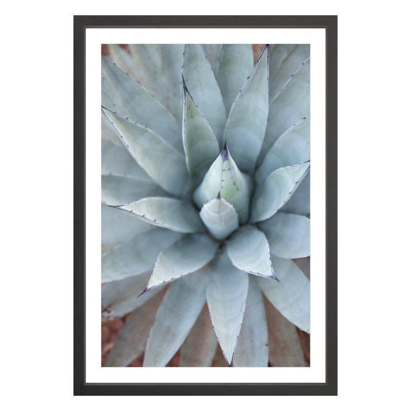 Agave by Amanda Anderson, Black, 36" H x 24" W x 1.88" D