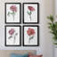 Watercolor Floral Contour I - Ensemble de 4 peintures sur toile encadrées-1987276760-1987276761