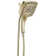 Dual Shower Head with H2Okinetic Technology