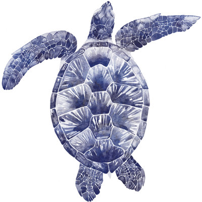 Marine Turtle II by Grace Popp - Wrapped Canvas Painting