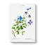 Purple Clematis Flowers by Pierre-Joseph Redoute - Wrapped Canvas Print-55322560