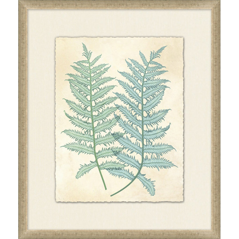 Spring Ferns 1 - Peinture encadrée sur papier