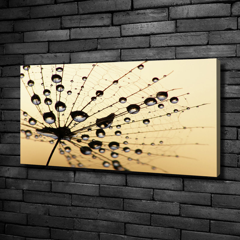 The Dandelion Was Sown 1 Piece Wrapped Canvas Wall Art